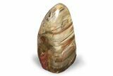 Free-Standing, Polished Petrified Wood - Madagascar #245580-1